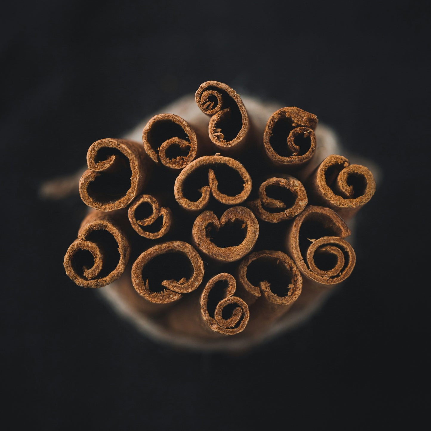 Cinnamon sticks on a dark background